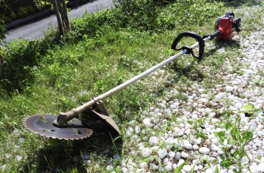 はじめての草刈り