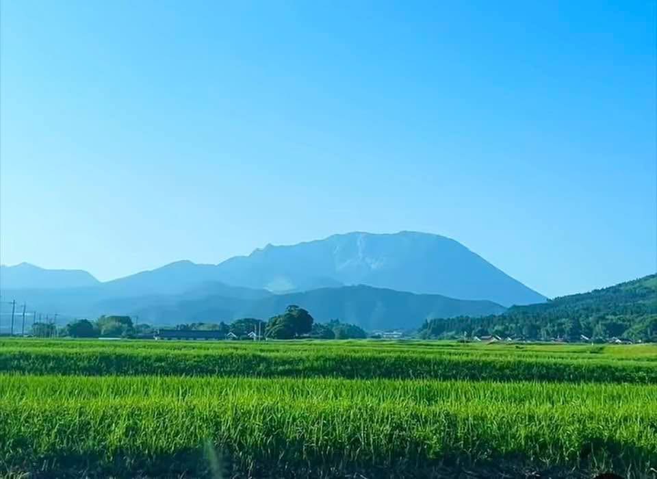 農業は地元密着