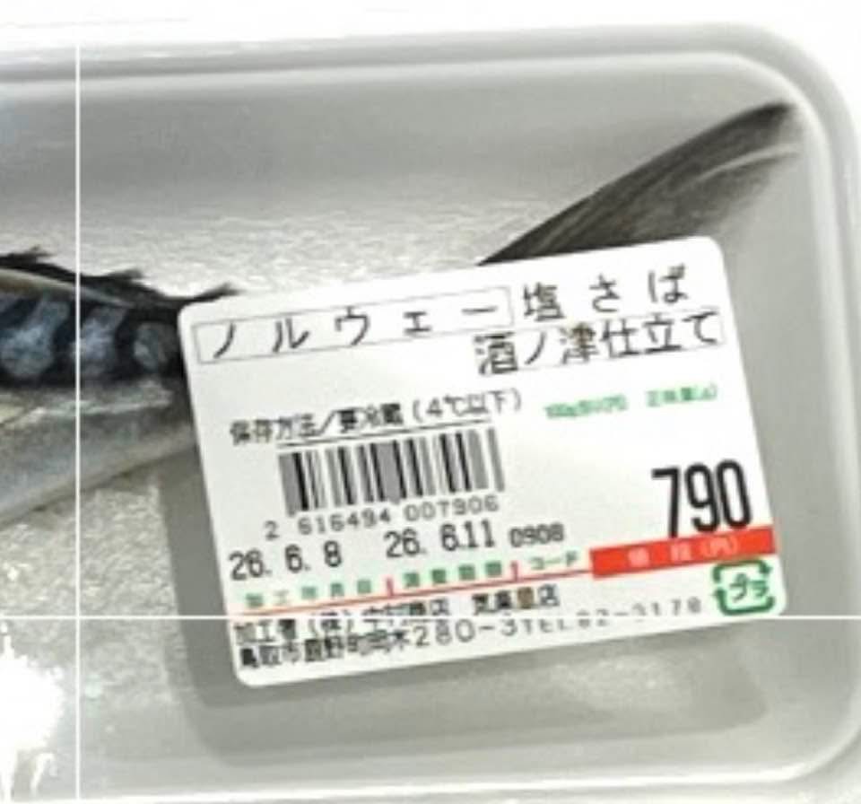 ノルウェーのさば