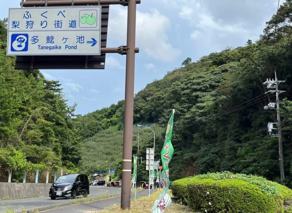 黒い影に怯える